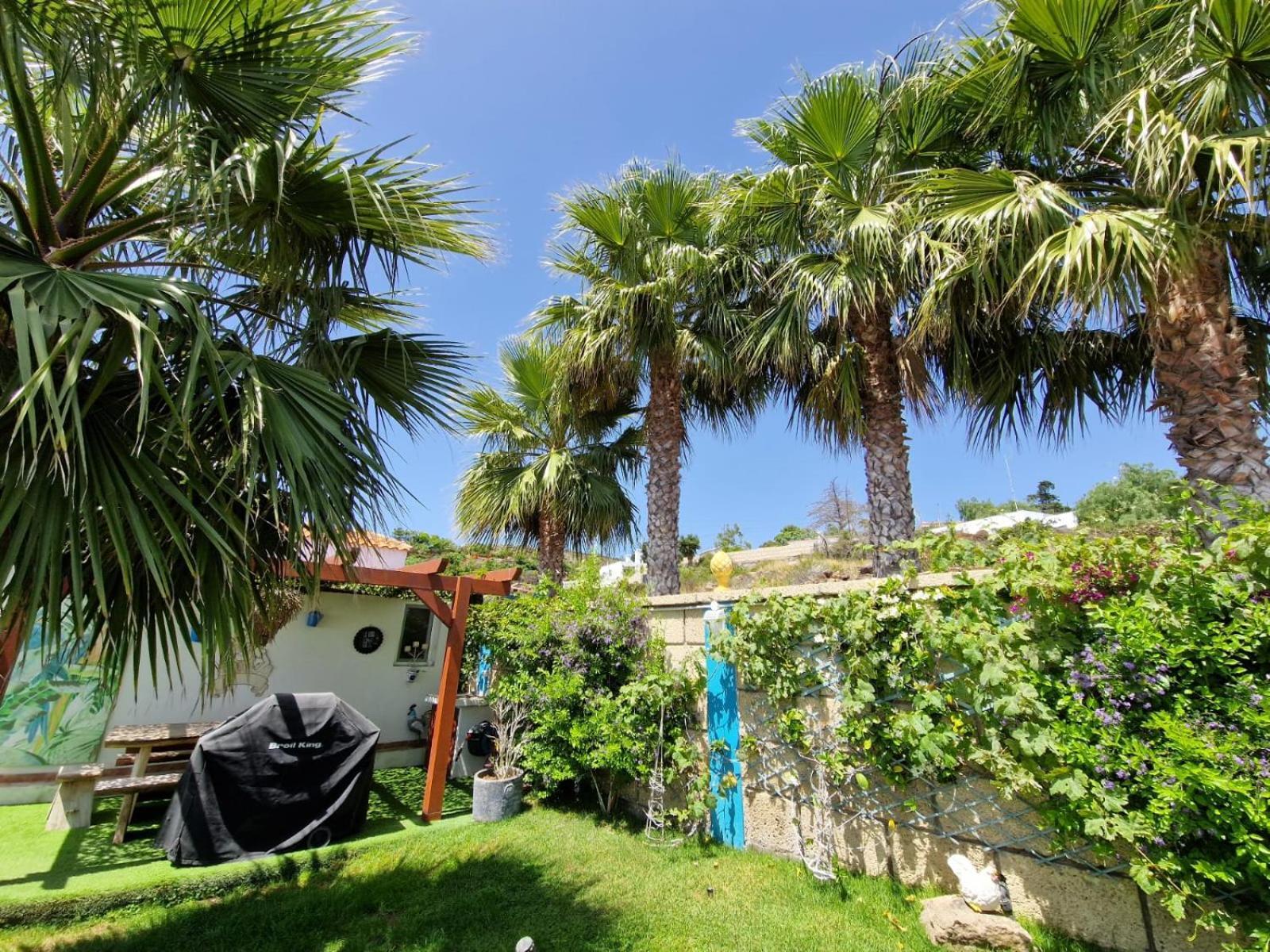 Escape To Finca Conejo, Typical Canarian House Private Jacuzzi, Sauna, Gym, Finca Conejo Taucho By Aqua Vista Tenerife Costa Adeje  Buitenkant foto